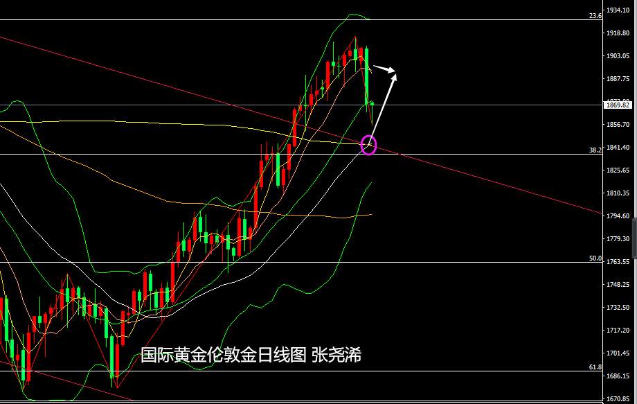 张尧浠：ADP等利空黄金趋看1845、觊觎非农助力触底回升