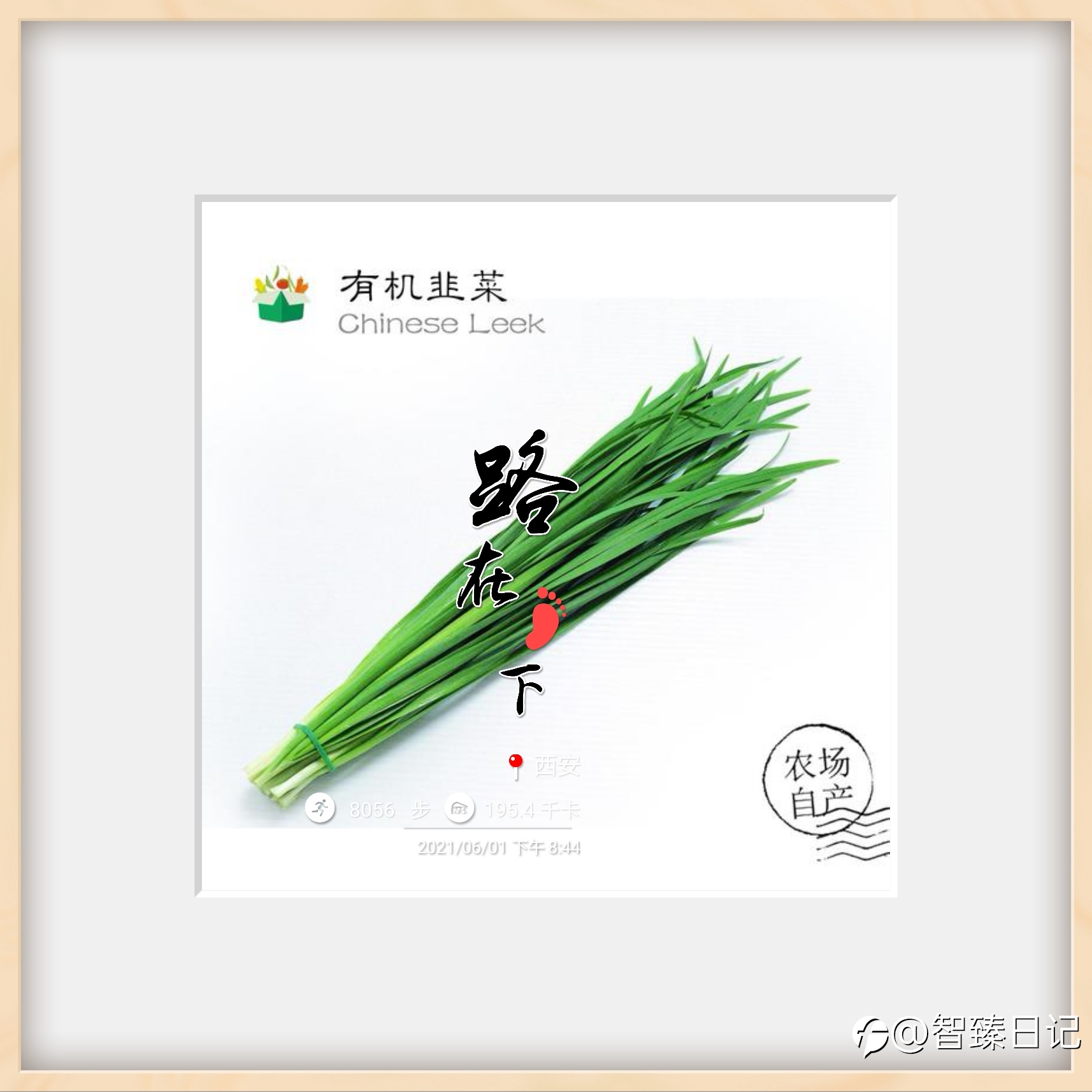 清澈的爱| 只为做一棵倔强的韭菜!