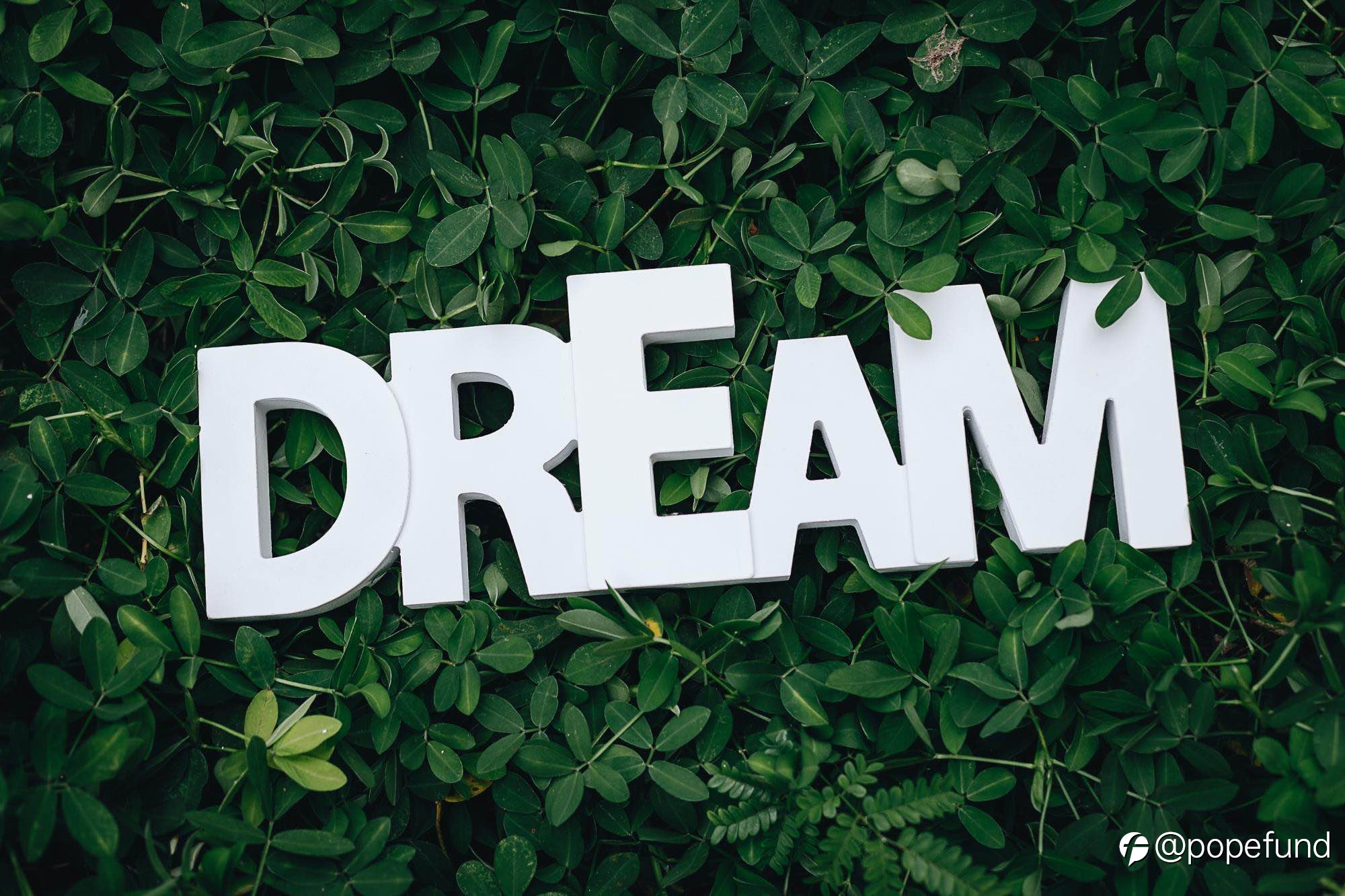 All life and trading is a dream