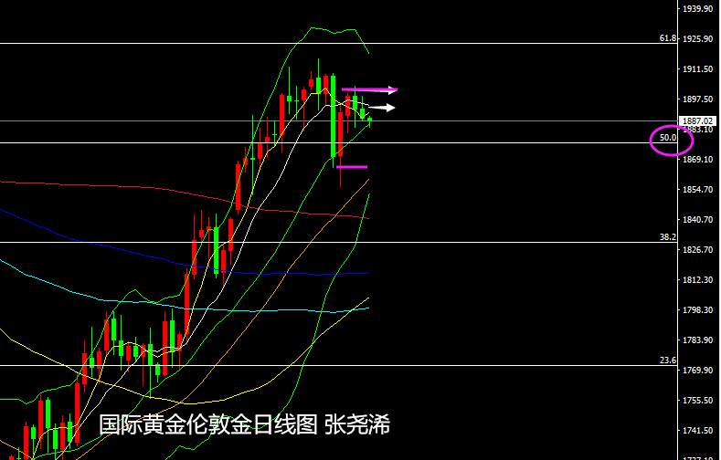 张尧浠：美CPI来袭前瞻下周决议、黄金偏看承压震荡维持