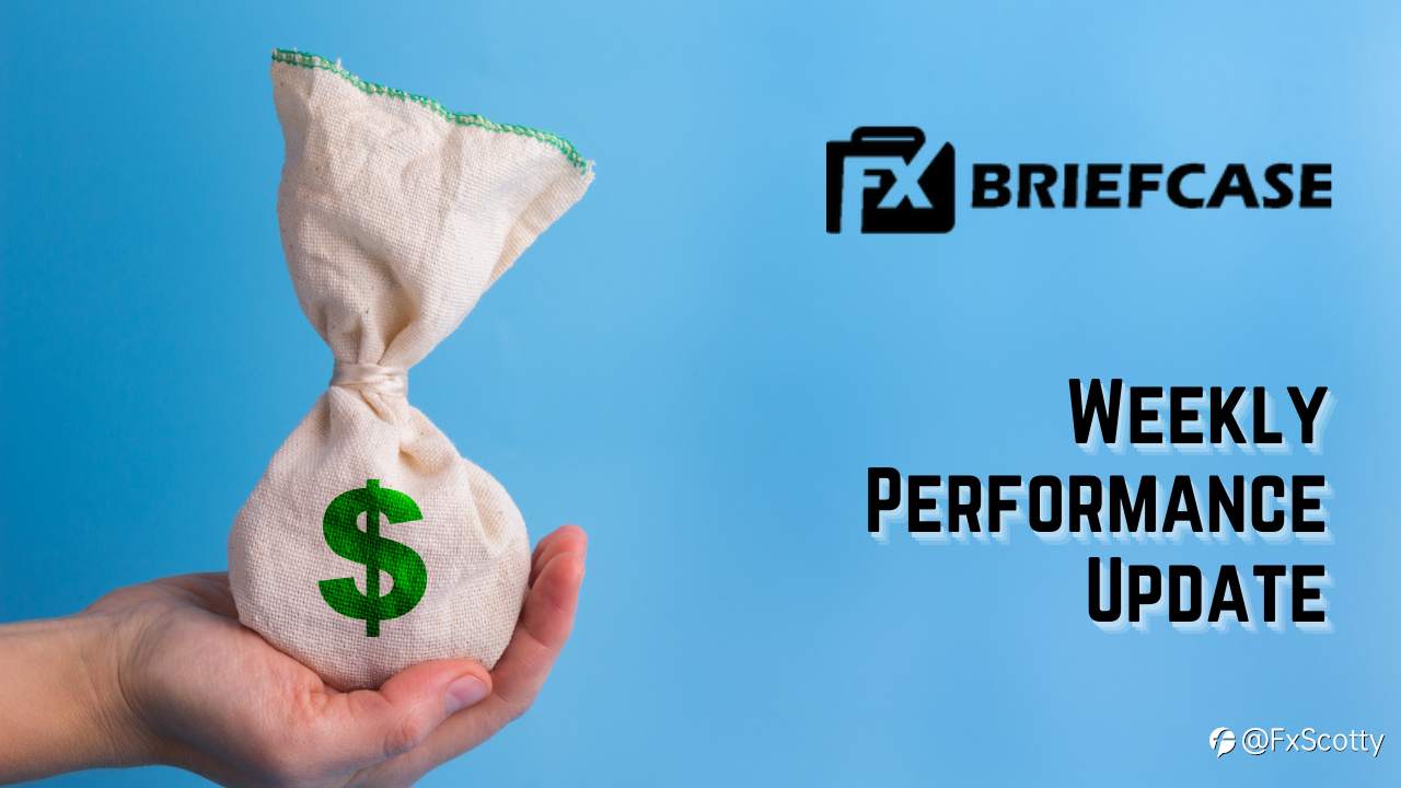ForexBriefcase Mid Year Performance Update!!