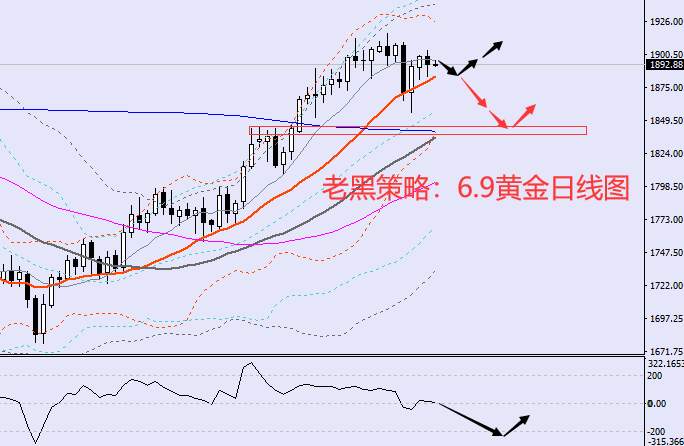 老黑策略：6.9黄金分析策略