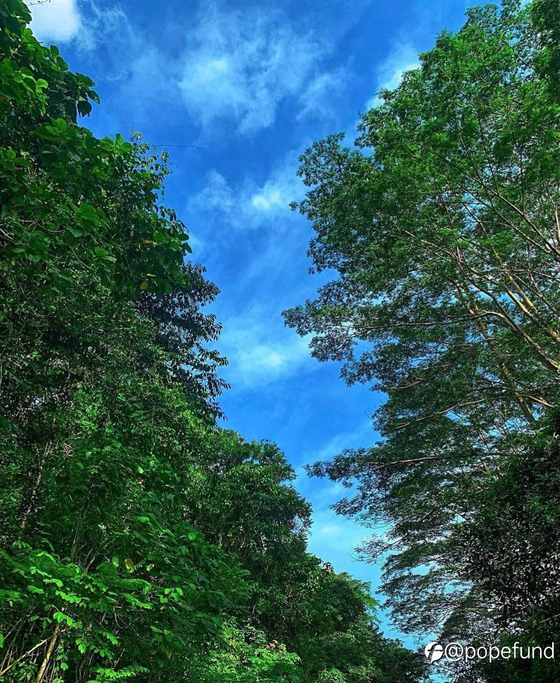 feed image