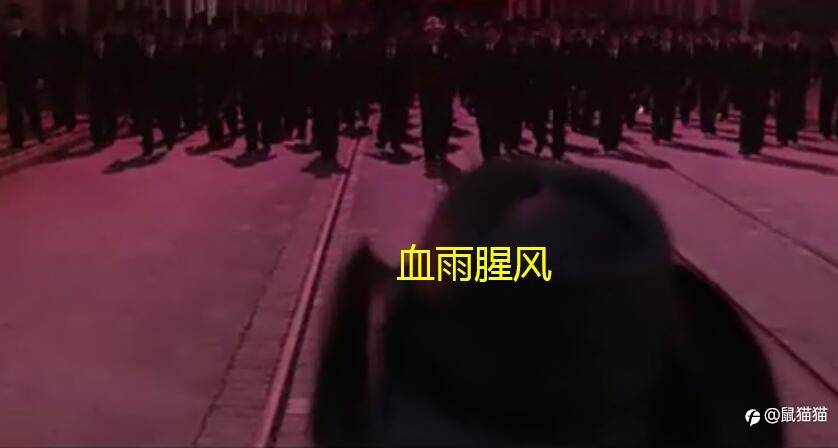 feed-image-1