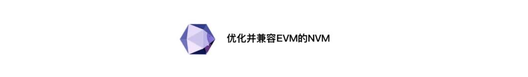 NA(Nirvana)Chain 启动NVM虚拟机将成就普惠型“世界电脑”