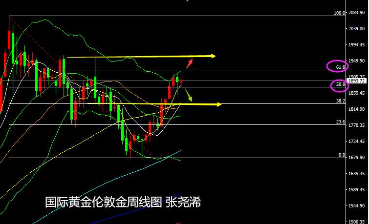张尧浠:黄金高位承压震荡、等待CPI触底后回归反弹