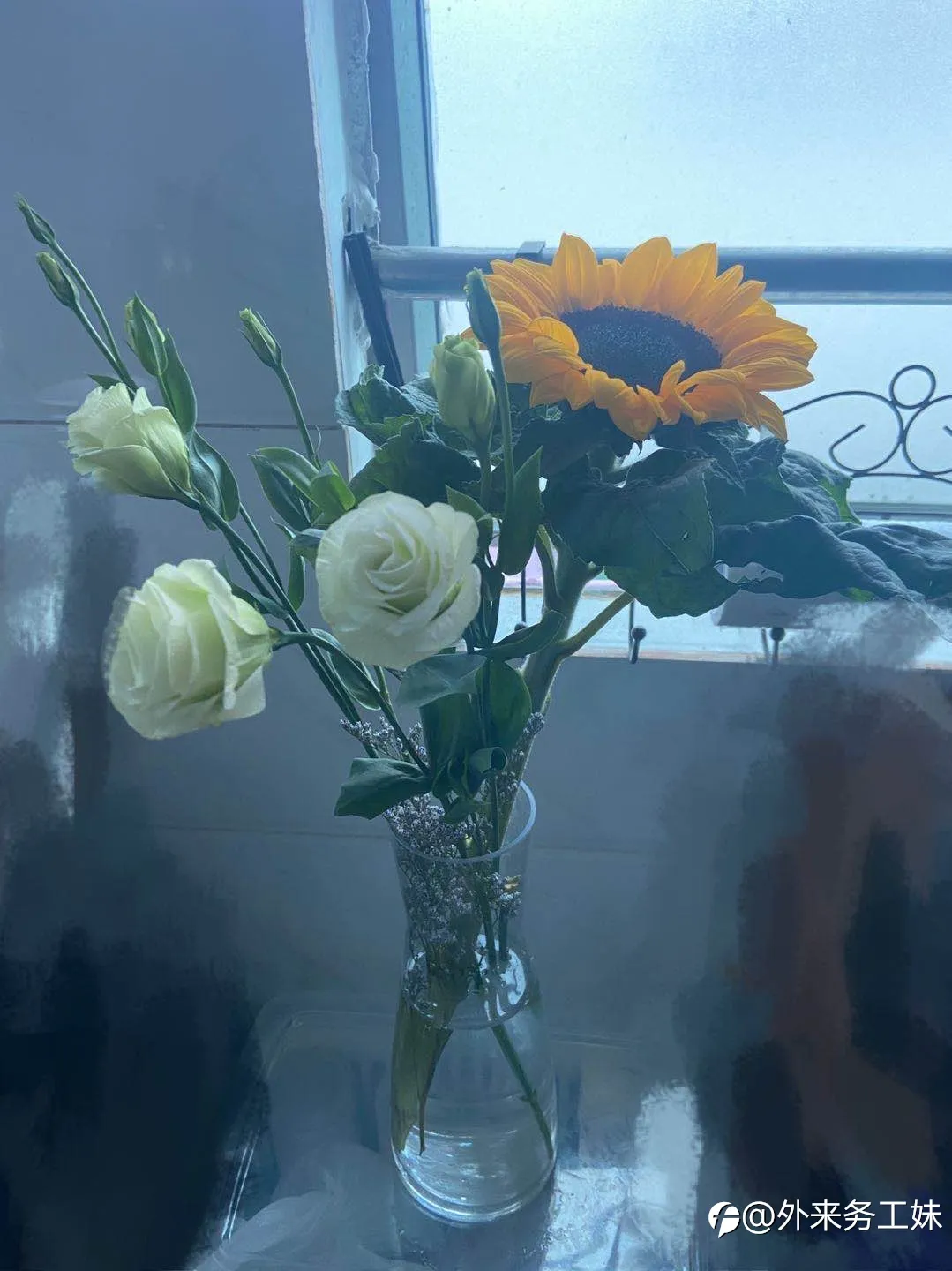 feed image