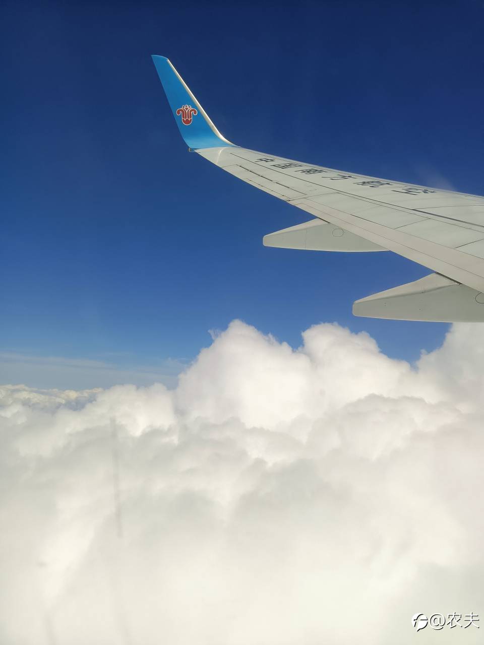 feed image