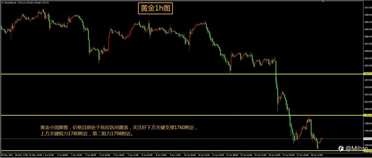 feed-image-1