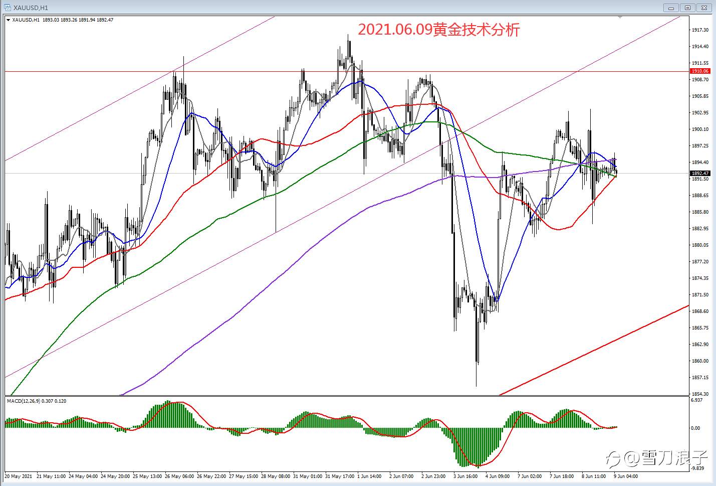 2021.06.09黄金技术分析