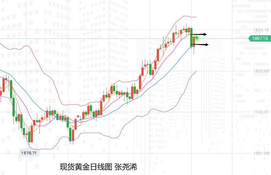 张尧浠：非农助力有限加息预期再起、黄金承压关注1877