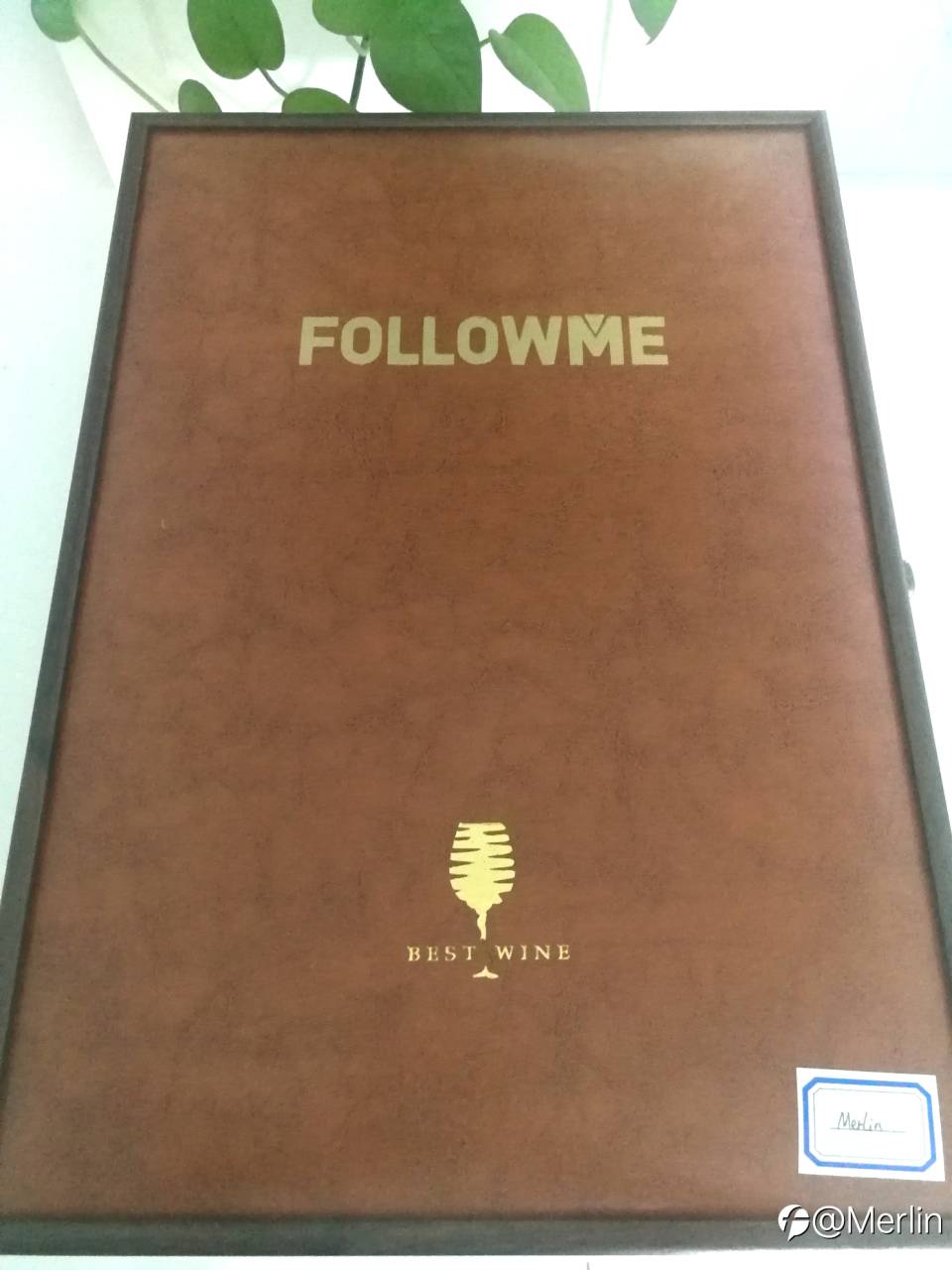 感谢FOLLOWME,端午吉祥!