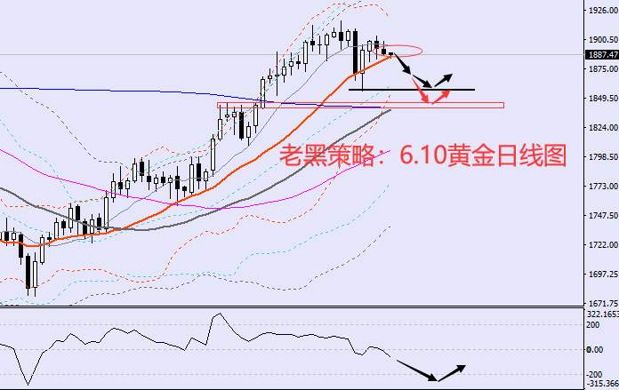 老黑策略：6.10黄金分析策略