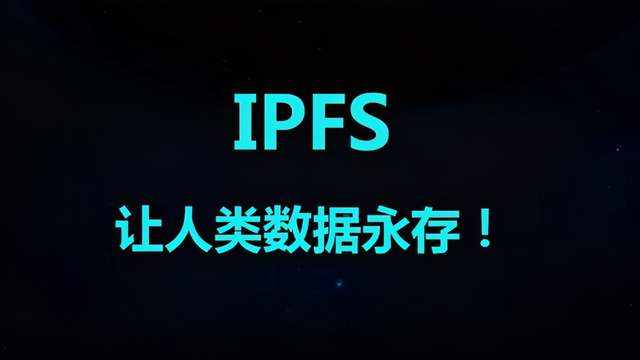 feed-image-1