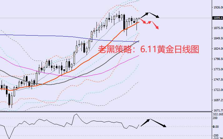 老黑策略：6.11黄金分析策略