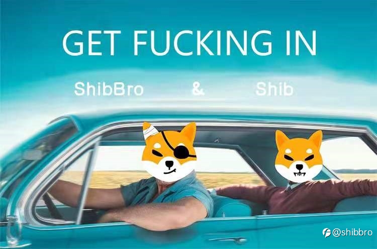 重大利好丨SHIB系列ShibBro迎来新一波发展机遇