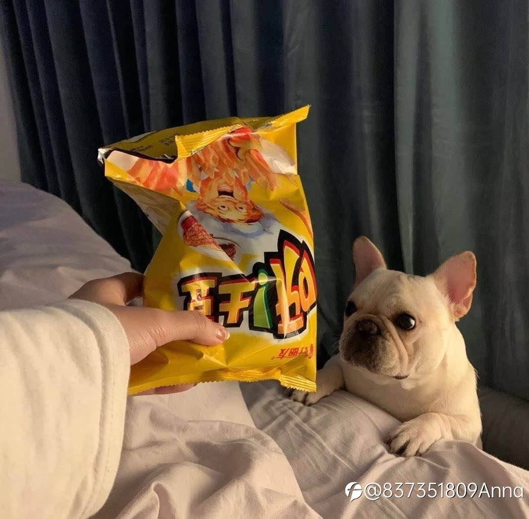 feed-image-1