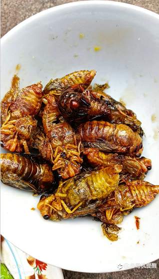 feed-image-0