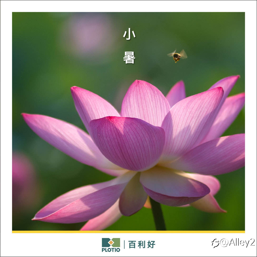 小暑至盛夏始 百利好提醒您天热防暑~