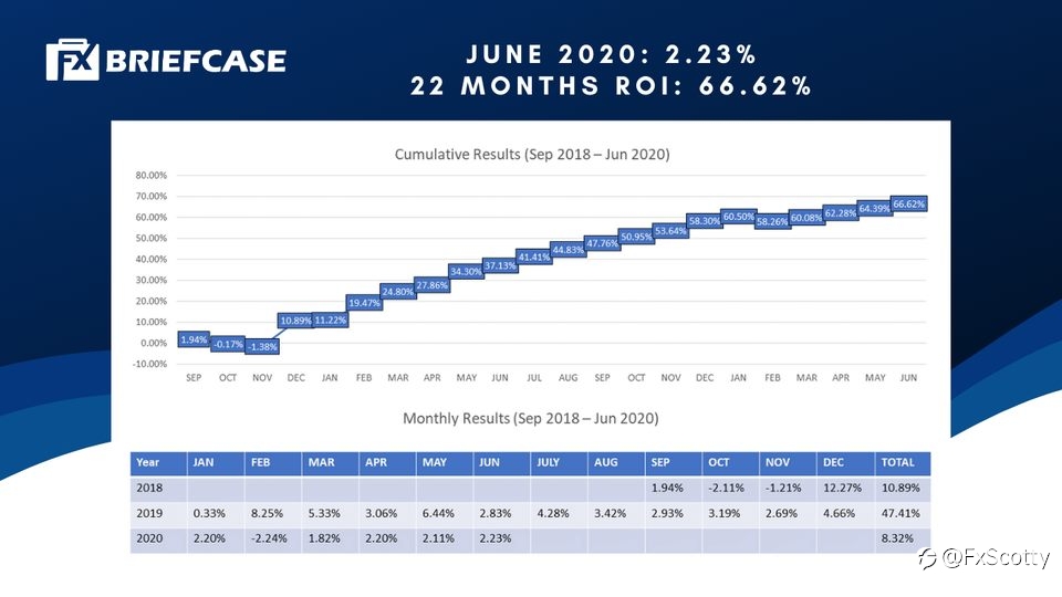 Year on year performance for ForexBriefcase