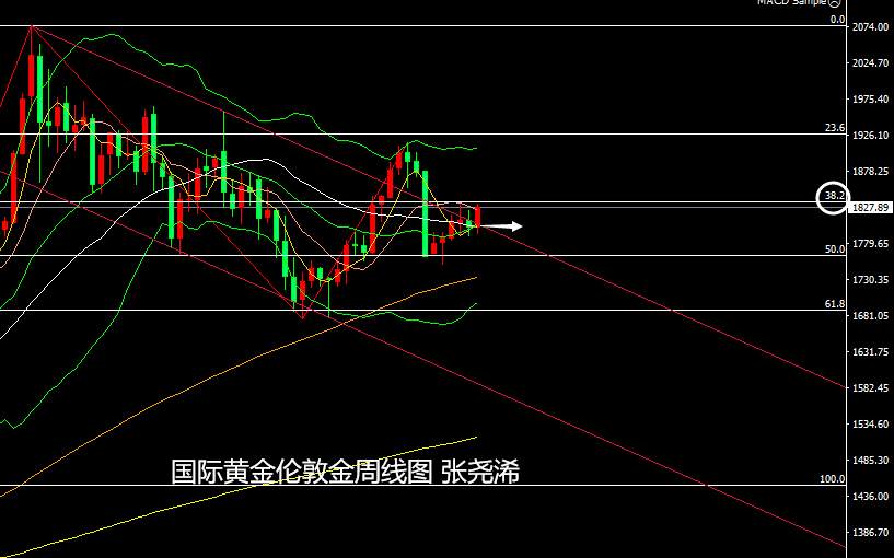 张尧浠：美指尚存反弹需求、黄金看涨警惕短线遇阻回落