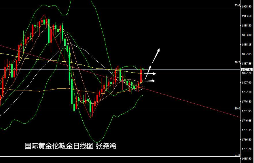 张尧浠：美指尚存反弹需求、黄金看涨警惕短线遇阻回落