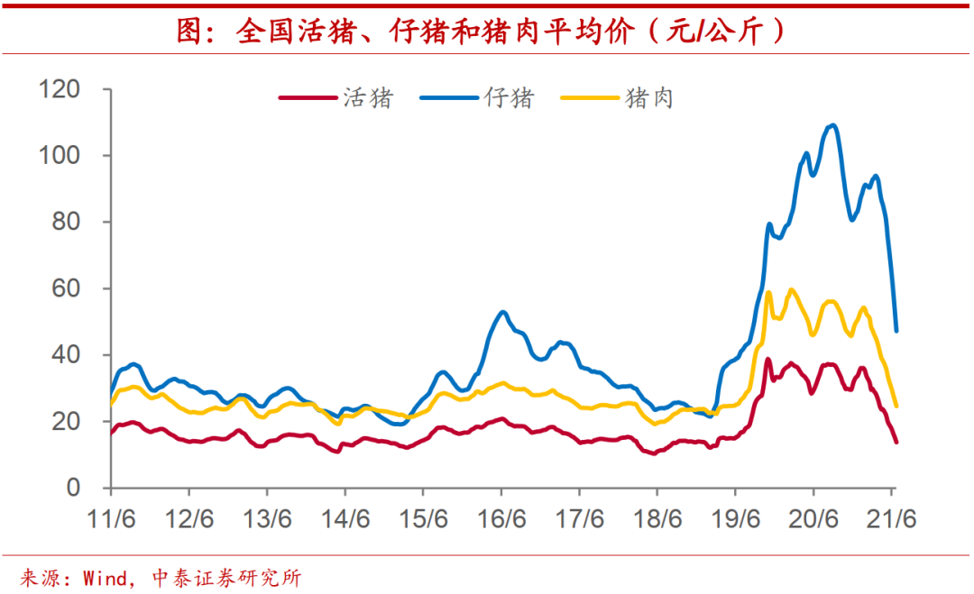 猪价要见底了么？