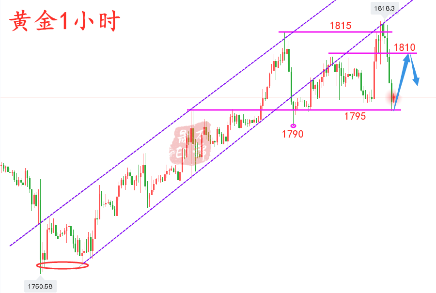 万锦晟7.9美盘黄金操作建议，黄金反弹1810附近直接空！