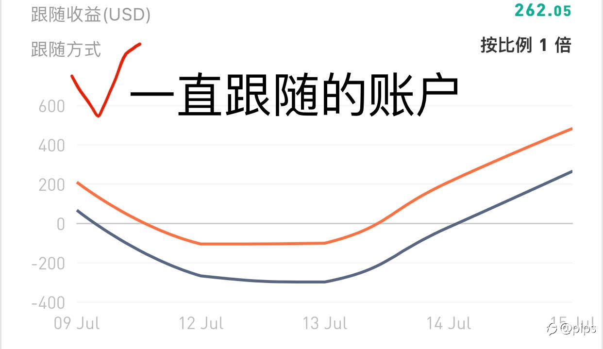 黄金周五回顾