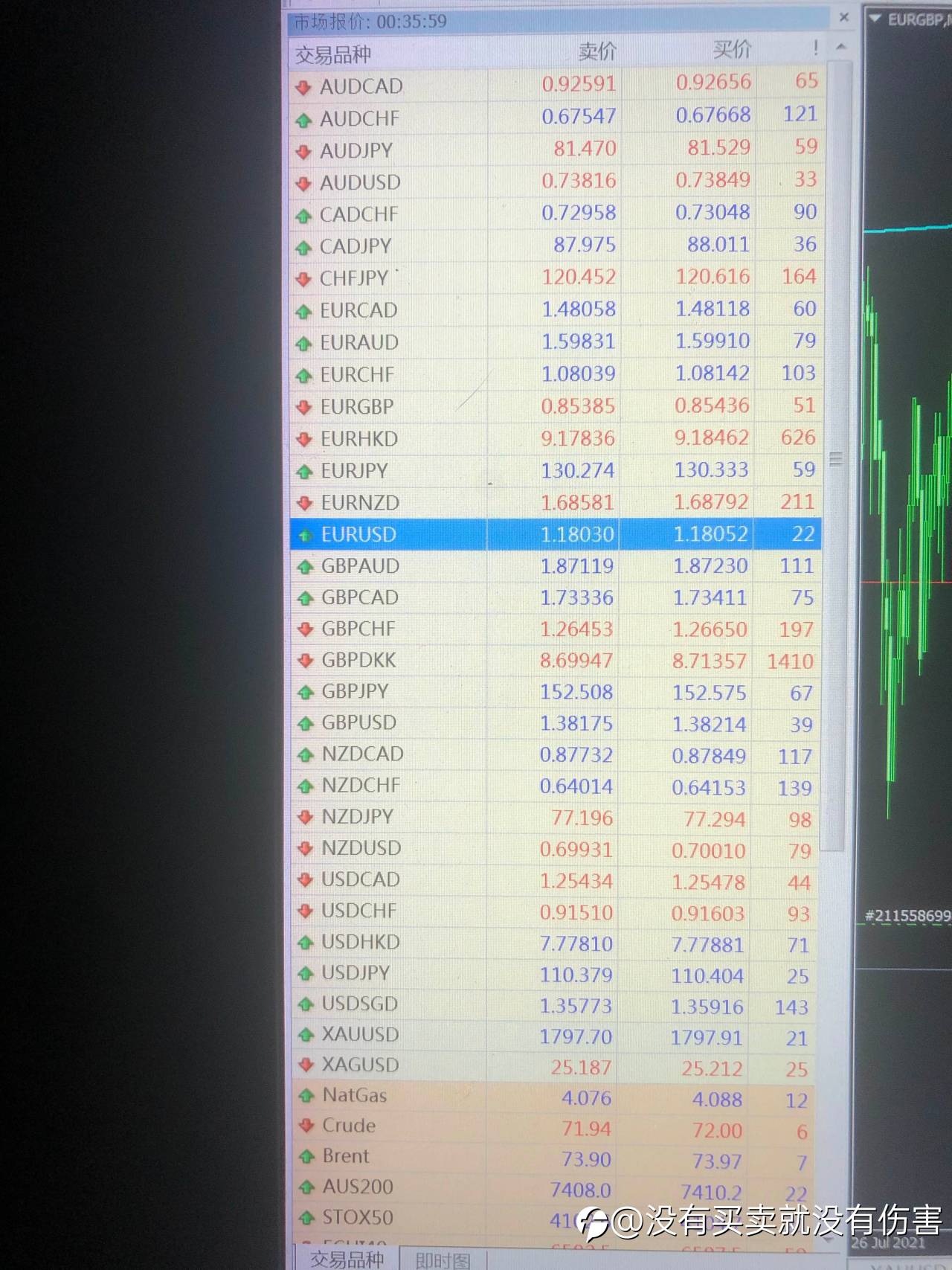 feed-image-1