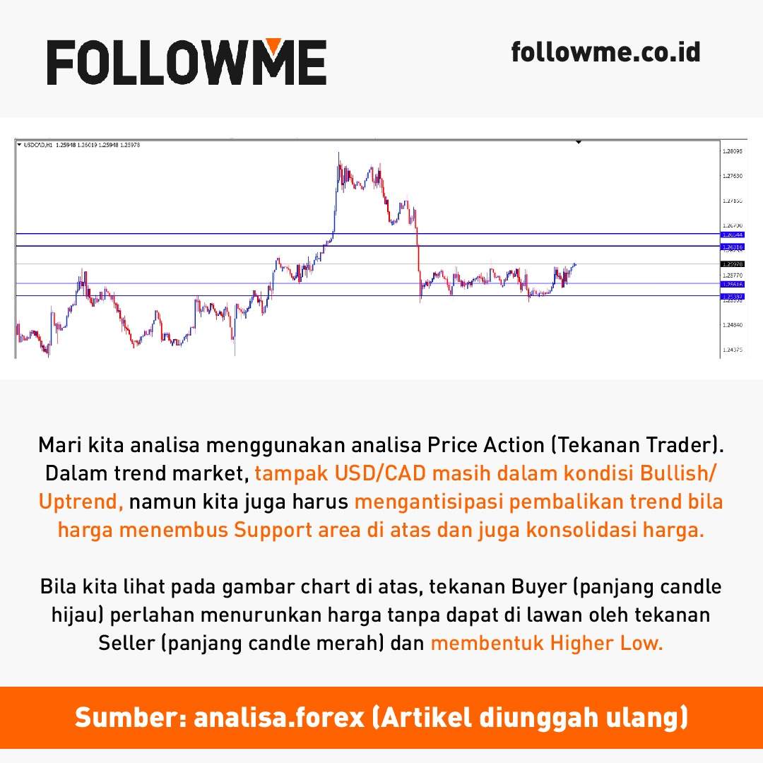 feed-image-1