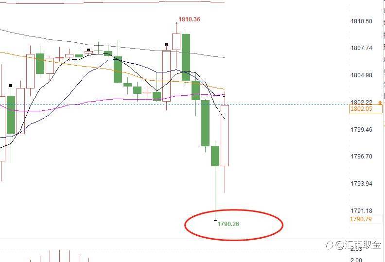 feed-image-0