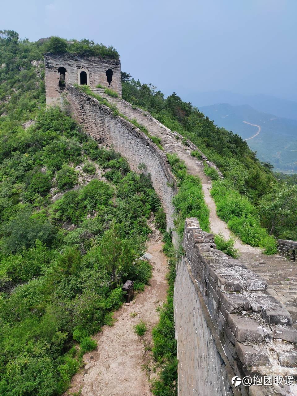 feed image