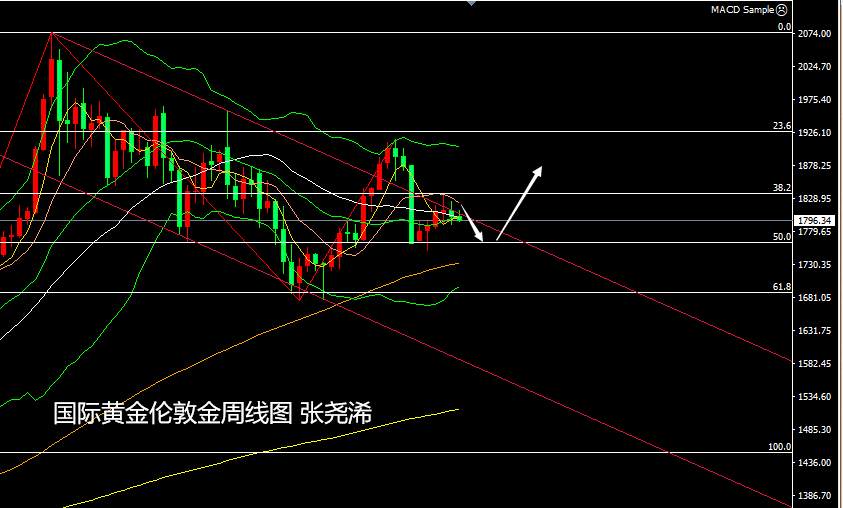 张尧浠：黄金承压将至美决议、多头备战支撑仍有买需