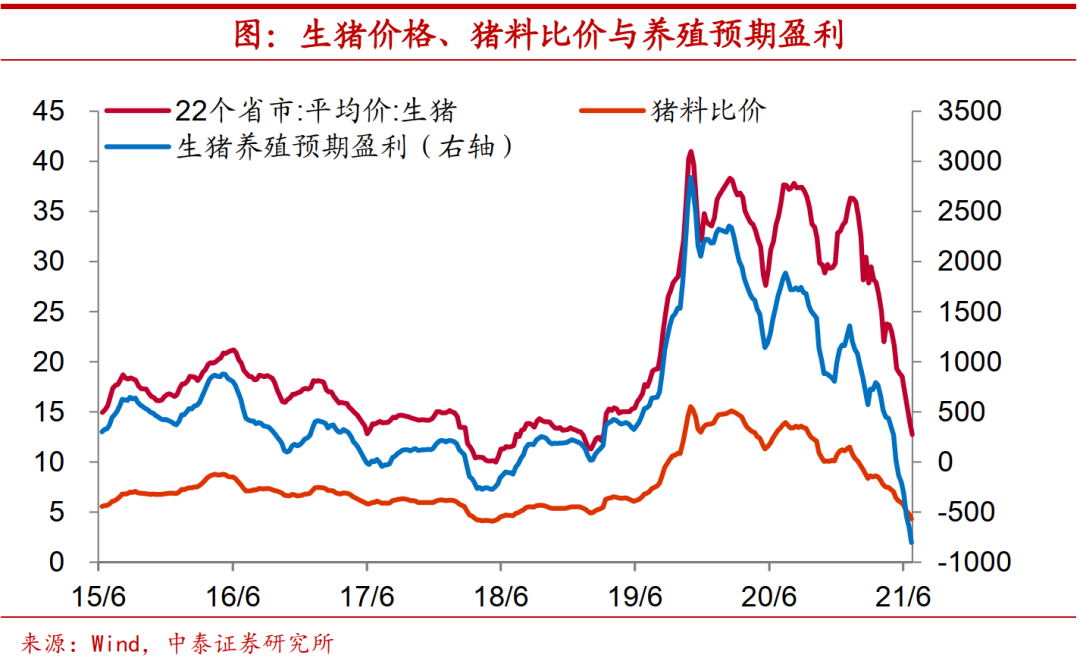 猪价要见底了么？