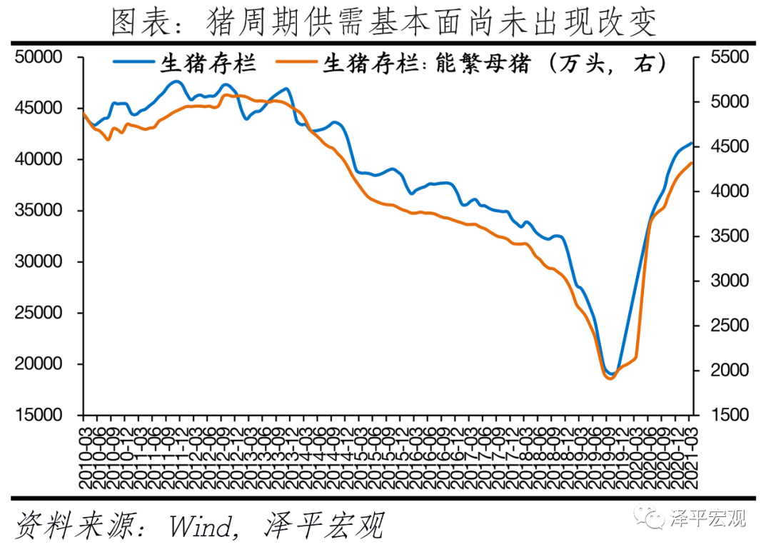 货币宽松的窗口正在打开:经济和通胀放缓