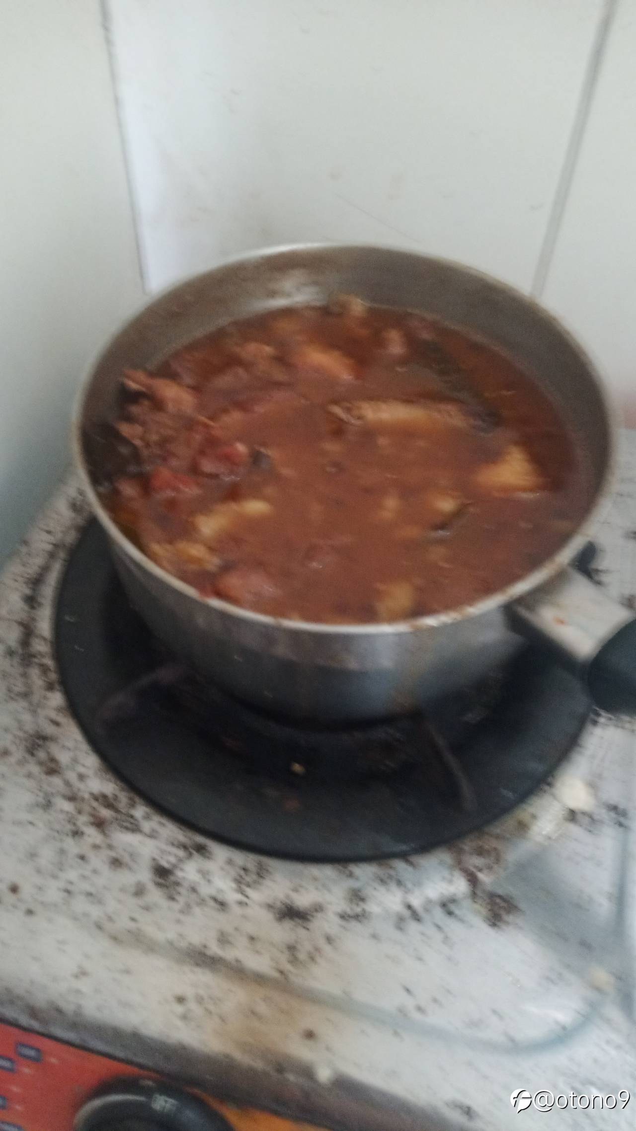 feed-image-0