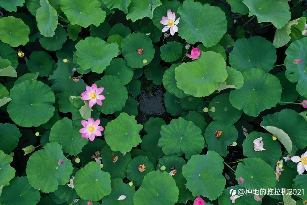 全球金融投资者韭菜节宣告【成立】