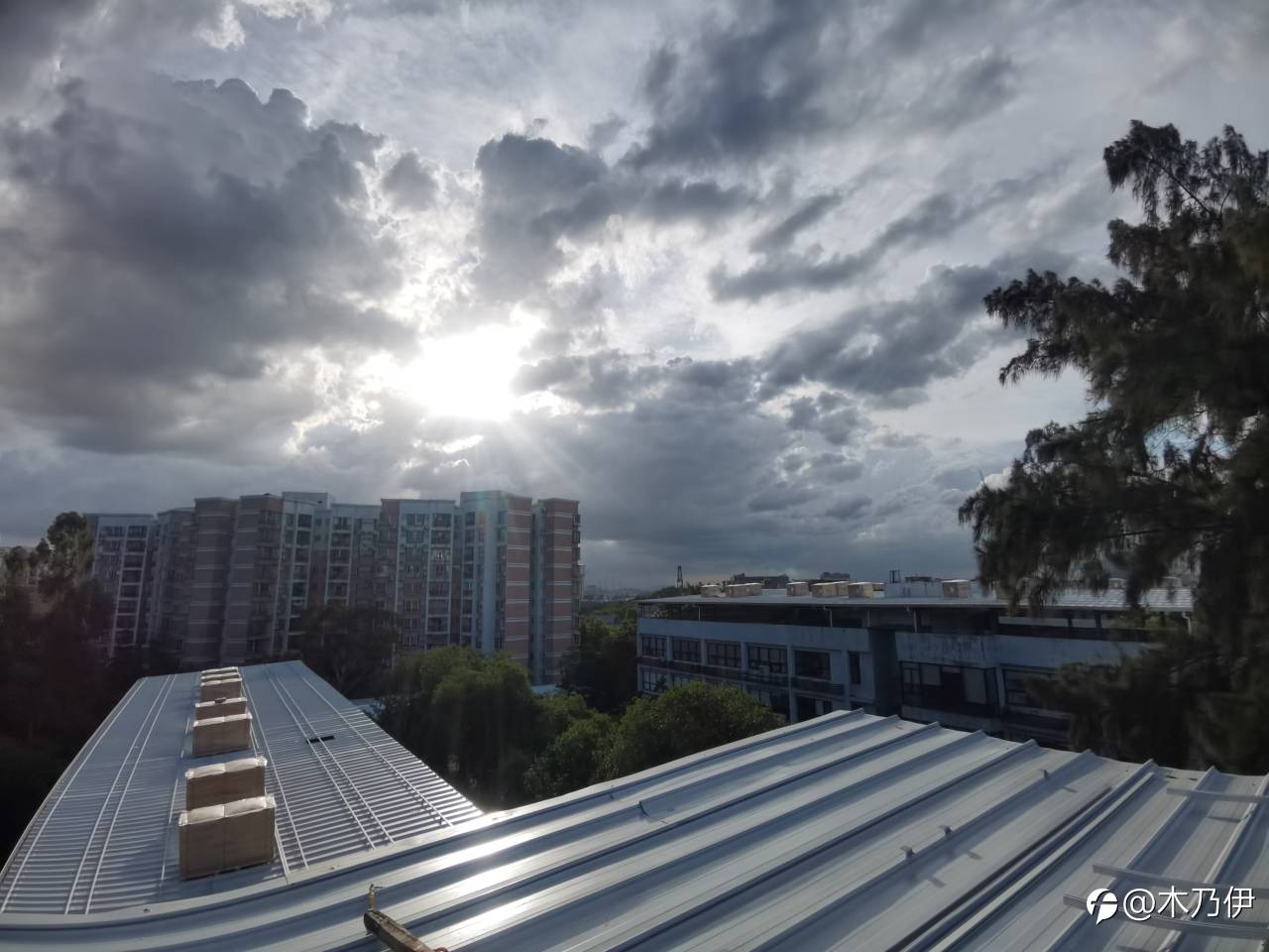 feed-image-1