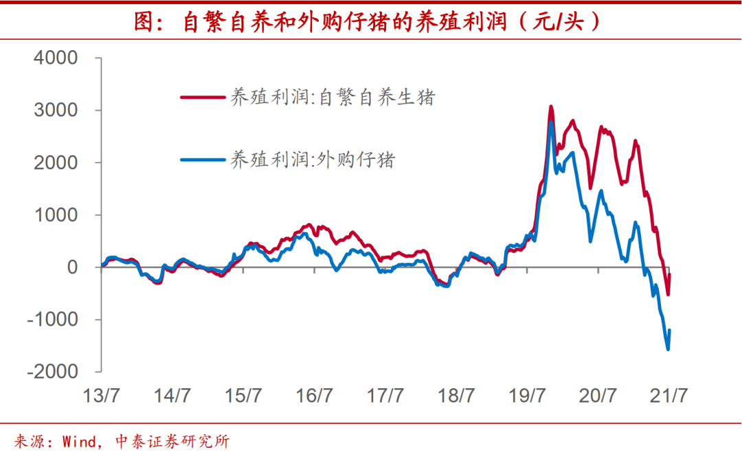 猪价要见底了么？