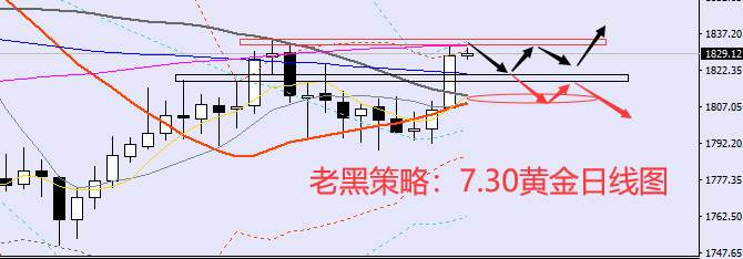 老黑策略:7.30黄金分析策略