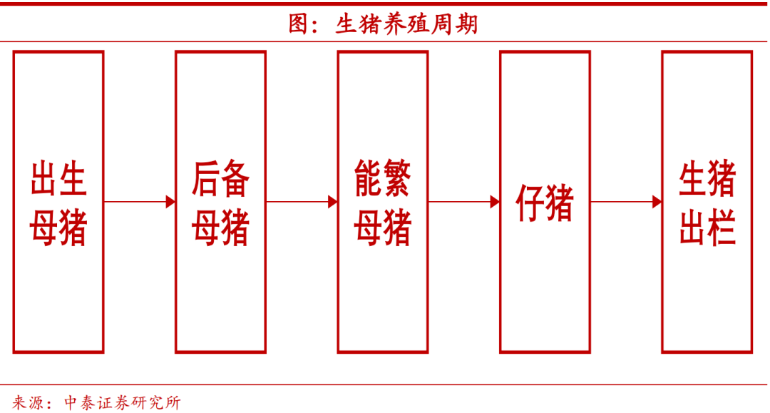 猪价要见底了么？