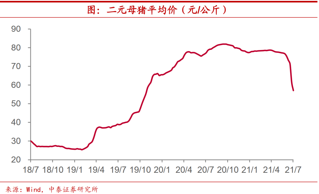 猪价要见底了么？