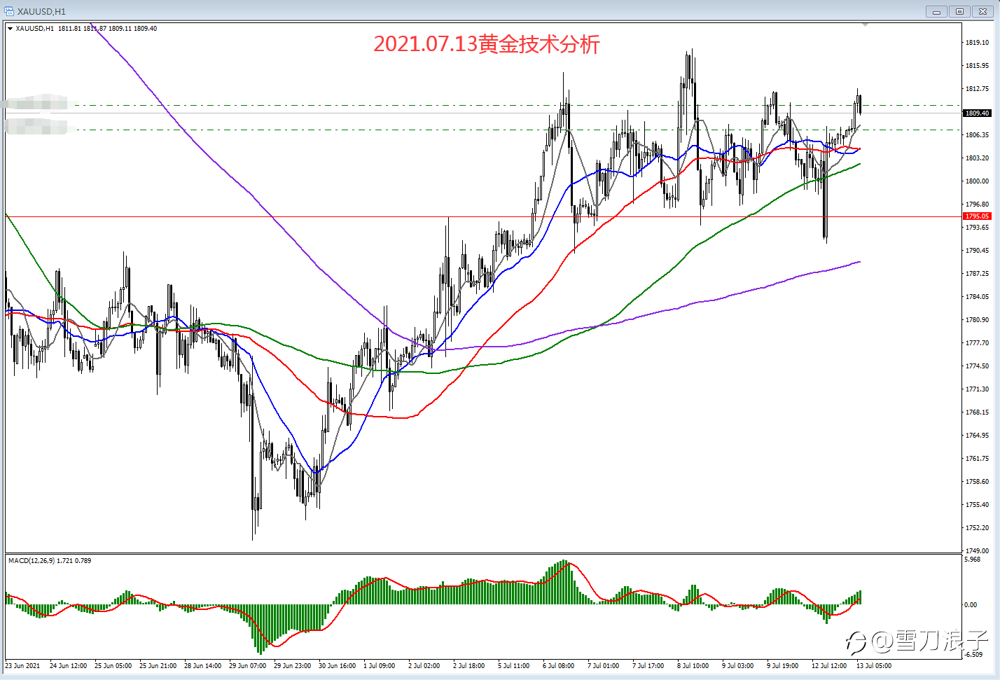 2021.07.13黄金技术分析