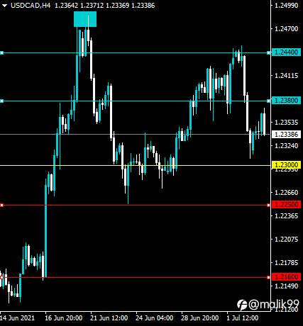 Forex Forecast (MEDIUM TERM) POTENTIAL DOUBLE-UP USDCAD