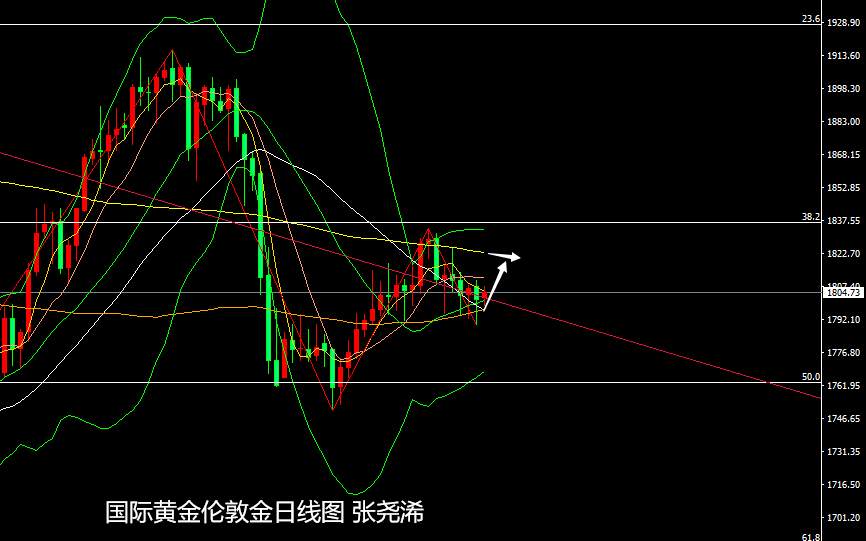 张尧浠:黄金承压意走高、多头觊觎4小时百线金叉看涨