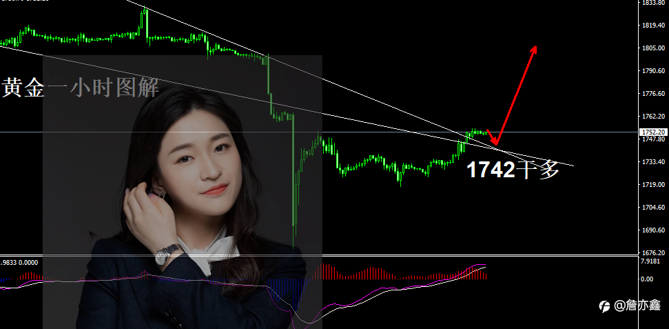 詹亦鑫:8.12黄金策略。隔夜黄金多单全部大赚,回落1742继续多