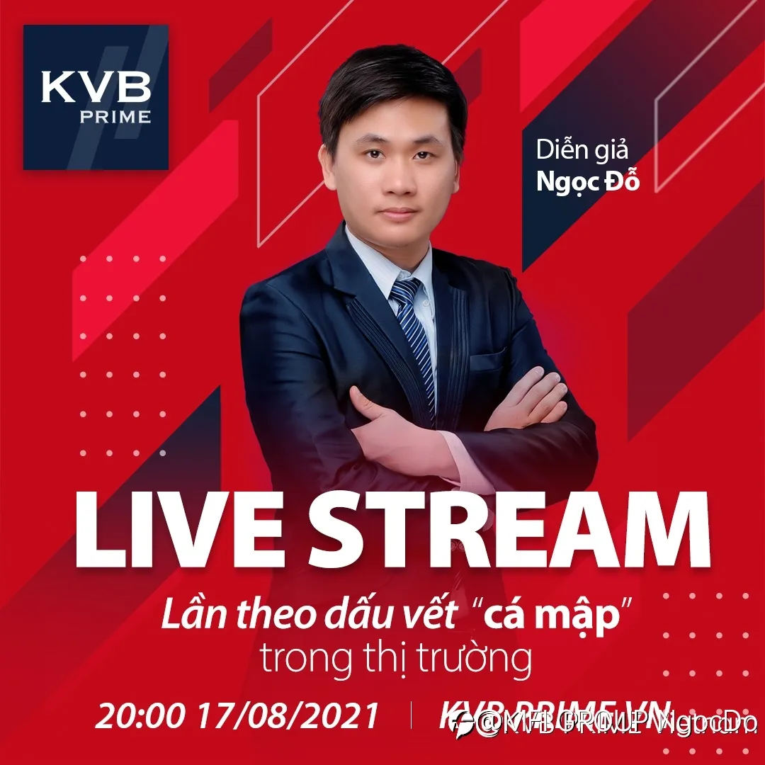 Lần theo dấu vết “Cá mập” trong thị trường