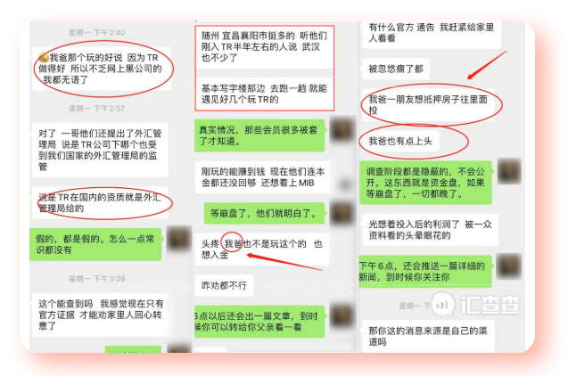汇查查:TR维稳人群大量现身,就这样还不崩?