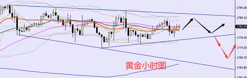 老黑策略：8.20晚盘外汇、黄金、原油分析策略